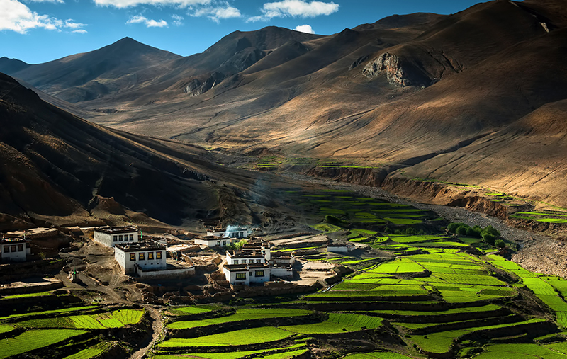 Tibet