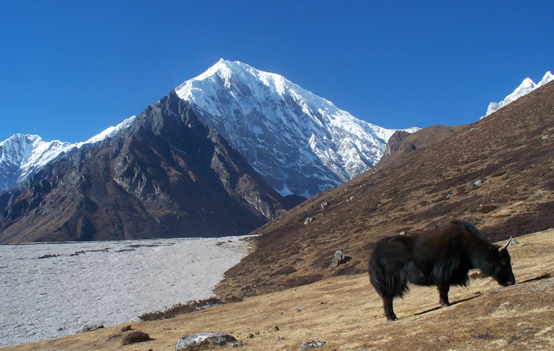 Langtang Valley Trekking