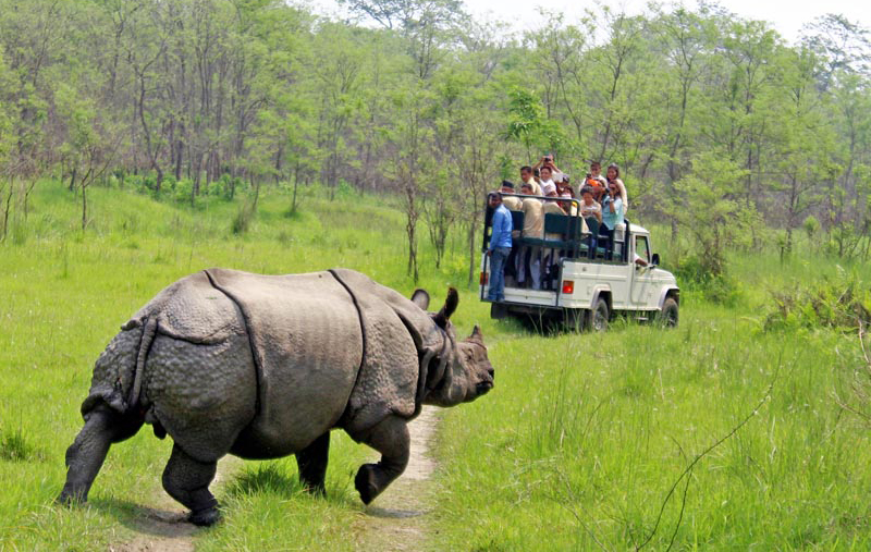 Chitwan National Park