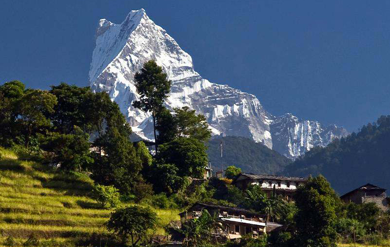 Ghorepani Poonhill Trek